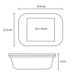 HO 129 TRANSPARENTE 2