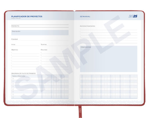 AGENDA SEMANAL PREMIUM 2025 - Imagen 18